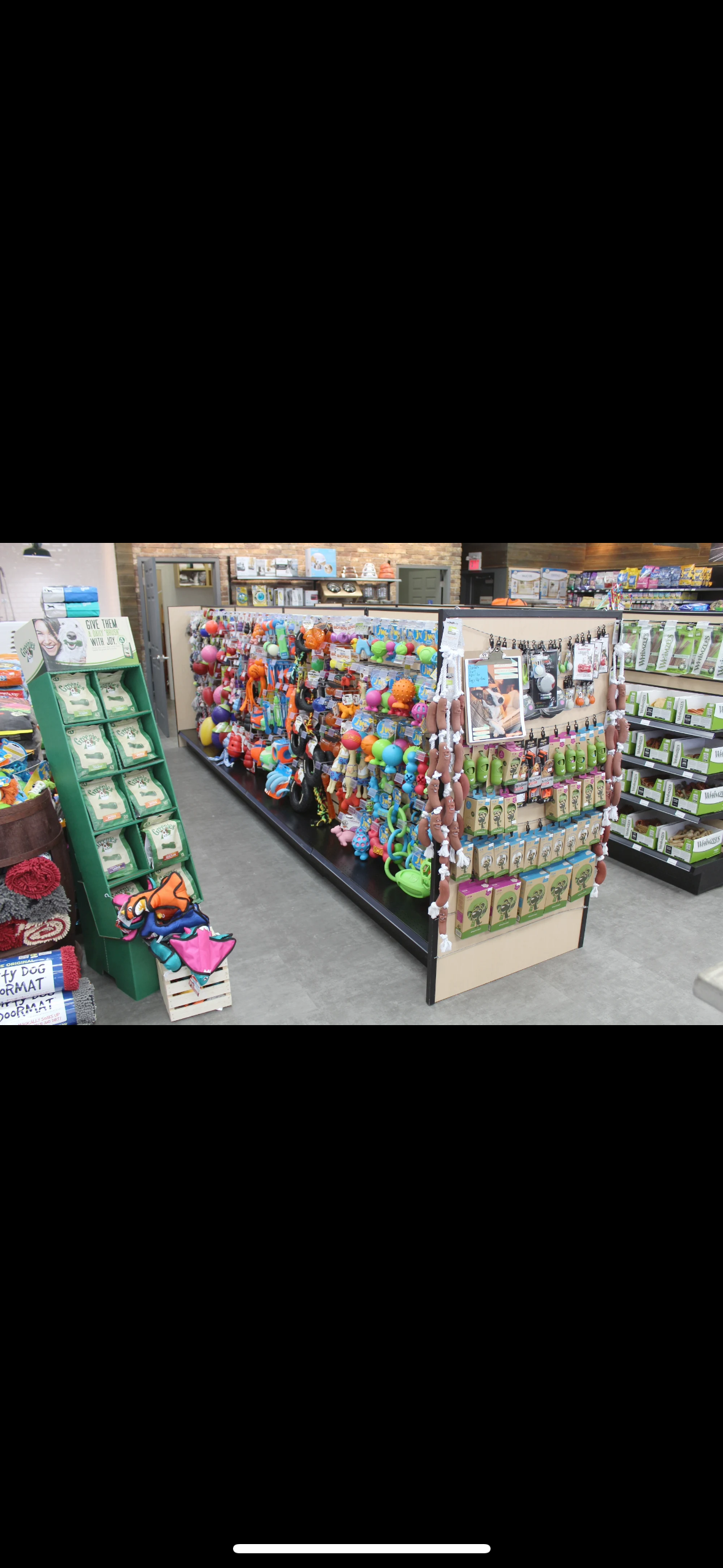 Professional Standards